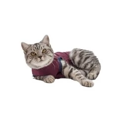Jacketz Medical Body Suit Für Katzen -Haustierzubehör jacketz medical body suit kat 154147 0500 none