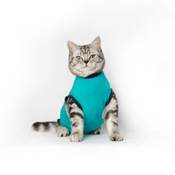 Jacketz Medical Body Suit Für Katzen -Haustierzubehör jacketz medical body suit kat 209789 0500 none