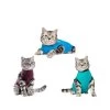 Jacketz Medical Body Suit Für Katzen 1 Jacketz Medical Body Suit Für Katzen -Haustierzubehör jacketz medical body suit kat 209795 0500 none