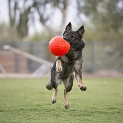 Jolly Soccer Ball 10 Jolly Soccer Ball -Haustierzubehör jolly soccer ball 162241 0500 none