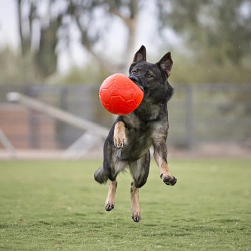 Jolly Soccer Ball 5 Jolly Soccer Ball – Bild 3