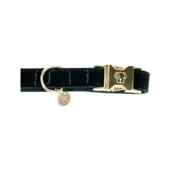 Kentucky Dogwear Corduroy Hundehalsband 16 Kentucky Dogwear Corduroy Hundehalsband -Haustierzubehör kentucky dogwear corduroy hondenhalsband 219195 0500 none
