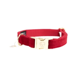 Kentucky Dogwear Corduroy Hundehalsband 11 Kentucky Dogwear Corduroy Hundehalsband -Haustierzubehör kentucky dogwear corduroy hondenhalsband 219198 0500 none