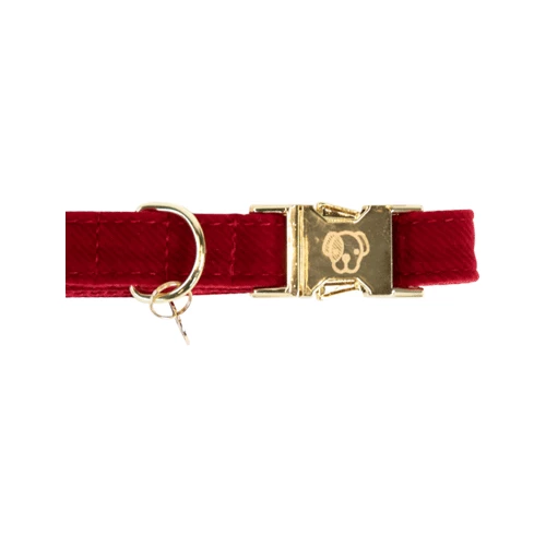 Kentucky Dogwear Corduroy Hundehalsband 8 Kentucky Dogwear Corduroy Hundehalsband – Bild 6