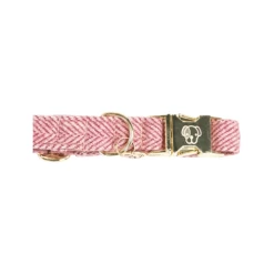 Kentucky Dogwear Hundehalsband Wool -Haustierzubehör kentucky dogwear hondenhalsband wool 219709 0500 none
