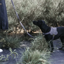 Kentucky Dogwear Hundegeschirr Body Safe Wool -Haustierzubehör kentucky dogwear hondenharnas body safe wool 219214 0500 none