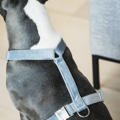 Kentucky Dogwear Hundegeschirr Velvet Loop 14 Kentucky Dogwear Hundegeschirr Velvet Loop -Haustierzubehör kentucky dogwear hondenharnas velvet loop 219286 0500 none