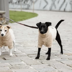 Kentucky Dogwear Hundejacke Teddy Fleece 9 Kentucky Dogwear Hundejacke Teddy Fleece -Haustierzubehör kentucky dogwear hondenjas teddy fleece 219186 0500 none