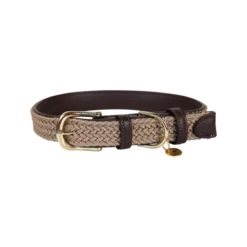 Kentucky Dogwear Nylon Hundehalsband -Haustierzubehör kentucky dogwear nylon hondenhalsband 219176 0500 none