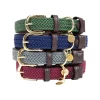 Kentucky Dogwear Nylon Hundehalsband -Haustierzubehör kentucky dogwear nylon hondenhalsband 219181 0500 none