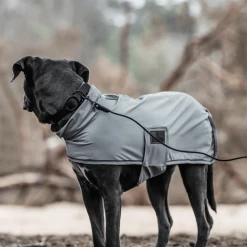 Kentucky Dogwear Soft Rubber Hundehalsband -Haustierzubehör kentucky dogwear soft rubber hondenhalsband 219265 0500 none