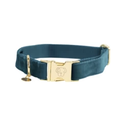 Kentucky Dogwear Velvet Hundehalsband 23 Kentucky Dogwear Velvet Hundehalsband -Haustierzubehör kentucky dogwear velvet hondenhalsband 219231 0500 none