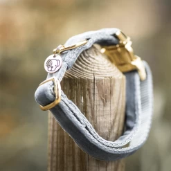 Kentucky Dogwear Velvet Hundehalsband 25 Kentucky Dogwear Velvet Hundehalsband -Haustierzubehör kentucky dogwear velvet hondenhalsband 219236 0500 none