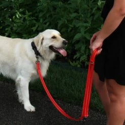 KONG Adjustable Leash 8 KONG Adjustable Leash -Haustierzubehör kong adjustable leash 194813 0500 none