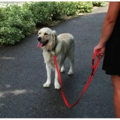 KONG Adjustable Leash 9 KONG Adjustable Leash -Haustierzubehör kong adjustable leash zwart 176938 0500 none