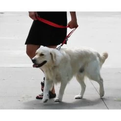 KONG Adjustable Leash 11 KONG Adjustable Leash -Haustierzubehör kong adjustable leash zwart 176941 0500 none