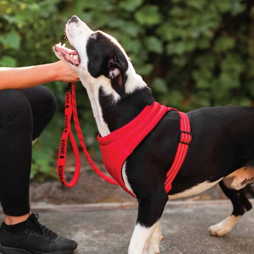 KONG Comfort Harness 5 KONG Comfort Harness – Bild 3