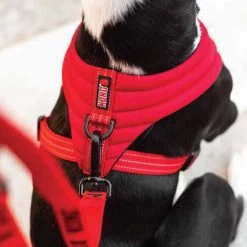 KONG Comfort Harness 9 KONG Comfort Harness -Haustierzubehör kong comfort harness zwart 178774 0500 none