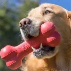 KONG Goodie Bone 8 KONG Goodie Bone -Haustierzubehör kong goodie bone 194186 0500 none