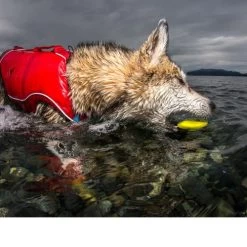 Kurgo Skipping Stones -Haustierzubehör kurgo skipping stones 99608 0500 none