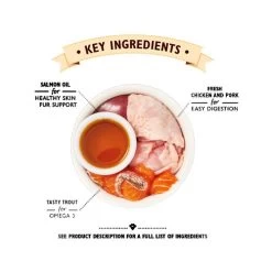 Lily's Kitchen Smooth Paté Kätzchenfutter - Schale 6 Lily's Kitchen Smooth Paté Kätzchenfutter - Schale -Haustierzubehör lilys kitchen smooth pat kitten kattenvoer kuipje 194747 0500 none