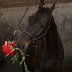 Maximus Fun Play Ball Für Pferde -Haustierzubehör maximus fun play ball voor paarden 207833 0500 none