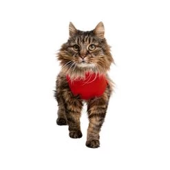 Medical Pet Shirt Katze -Haustierzubehör medical pet shirt kat 167404 0500 none
