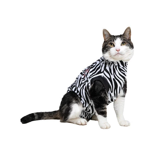 Medical Pet Shirt Katze Zebra-Muster 3 Medical Pet Shirt Katze Zebra-Muster