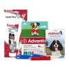 Medpets Welpenpaket - 5 Bis 10 Kg -Haustierzubehör medpets puppypakket 5 tot 10 kg 136750 0500 none