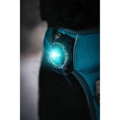Orbiloc Dog Dual Safety Light -Haustierzubehör orbiloc led veiligheidslamp 188103 0500 none