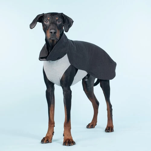 PAIKKA Recovery Winter Shirt 4 PAIKKA Recovery Winter Shirt – Bild 2