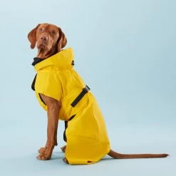 PAIKKA Visibility Raincoat Lite Yellow -Haustierzubehör paikka visibility raincoat lite yellow 217726 0500 none