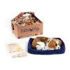Perfect Petzzz Soft Cavalier King Charles -Haustierzubehör perfect petzzz soft cavalier king charles 151240 0500 none