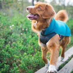 Pomppa Jumppa -Haustierzubehör pomppa jumppa 190573 0500 none