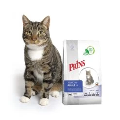 Prins VitalCare Cat Adult Fit -Haustierzubehör prins vitalcare cat adult fit 172291 0500 none