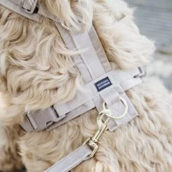 Kentucky Dog Harness Active Velvet -Haustierzubehör prod 15744 218987 0500 none