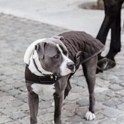 Kentucky Hundemantel Original 11 Kentucky Hundemantel Original -Haustierzubehör prod 15745 218998 0500 none