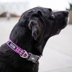 DOG Copenhagen Urban Style Halsband -Haustierzubehör prod 15937 220286 0500 none