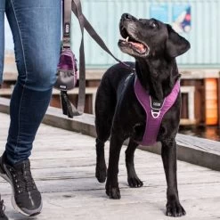 DOG Copenhagen Comfort Walk Pro Geschirr -Haustierzubehör prod 15938 220297 0500 none
