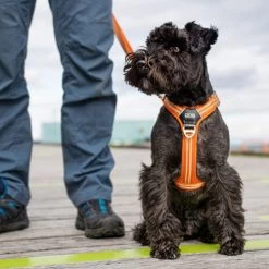 DOG Copenhagen Comfort Walk Air Geschirr -Haustierzubehör prod 15939 220308 0500 none