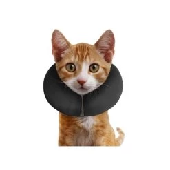 ZenPet Pro Collar -Haustierzubehör prod 5331 89004 0500 none