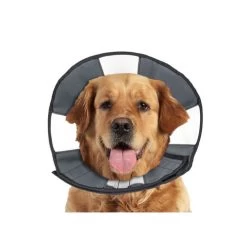 ZenPet Zen Collar -Haustierzubehör prod 5332 89025 0500 none