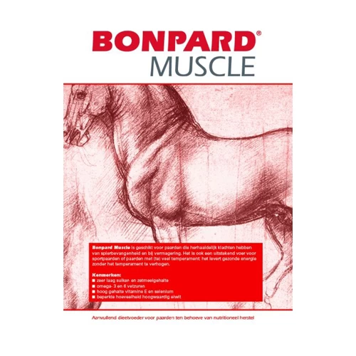 Bonpard Muscle 3 Bonpard Muscle