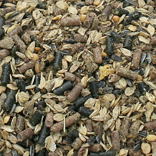 Bonpard Muscle 4 Bonpard Muscle – Bild 2