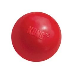 KONG Ball -Haustierzubehör product kong ball none 4 1466058812 69915