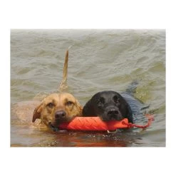 KONG Training Dummy -Haustierzubehör product kong training dummy none 4 1469627104 71971