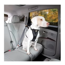 Kurgo Enhanced Tru-Fit Smart Harness 8 Kurgo Enhanced Tru-Fit Smart Harness -Haustierzubehör product kurgo tru fit smart harness none 4 1476952073 79204