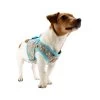 Lief! Boys Hundegeschirr -Haustierzubehör product lief boys hondenharnas none 4 1497015028 87178