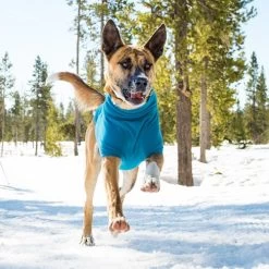 Ruffwear Climate Changer Fleece Jacket 16 Ruffwear Climate Changer Fleece Jacket -Haustierzubehör product ruffwear climate changer fleece jacket none 4 1480596074 81496