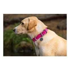 Ruffwear Headwater Collar -Haustierzubehör product ruffwear headwater collar none 4 1487775433 83755